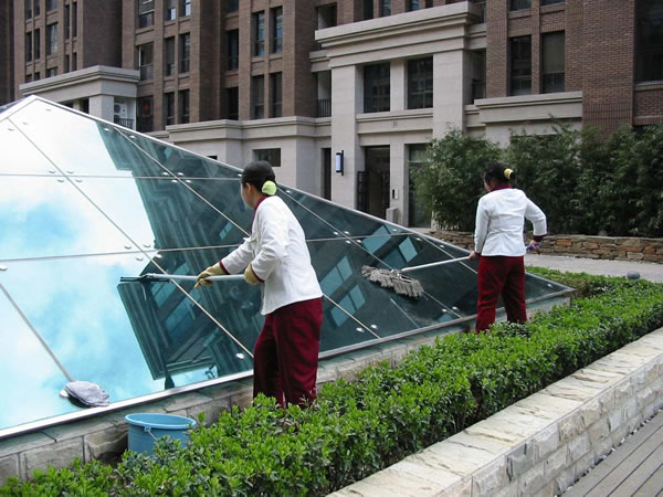 上海蕾丝视频下载黄
